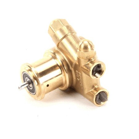 Multiplex Pump, 100Gph-Brass, Fltr , 250Psi 2002763
